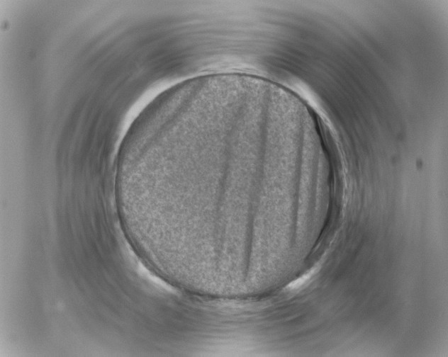 X0000052571102200507292000