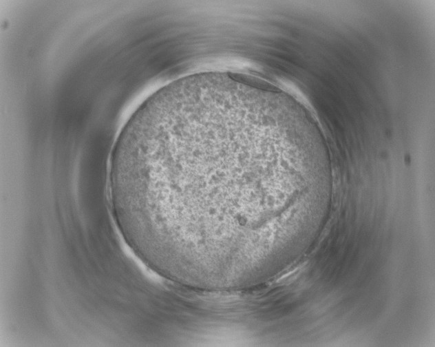 X0000052571103200507292000