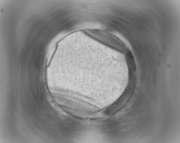 X0000052571104200507292000