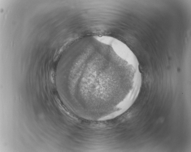 X0000052571106200507291959