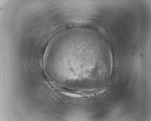 X0000052571109200507291959