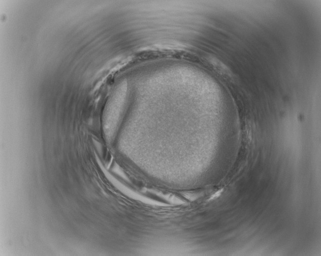 X0000052571110200507291959