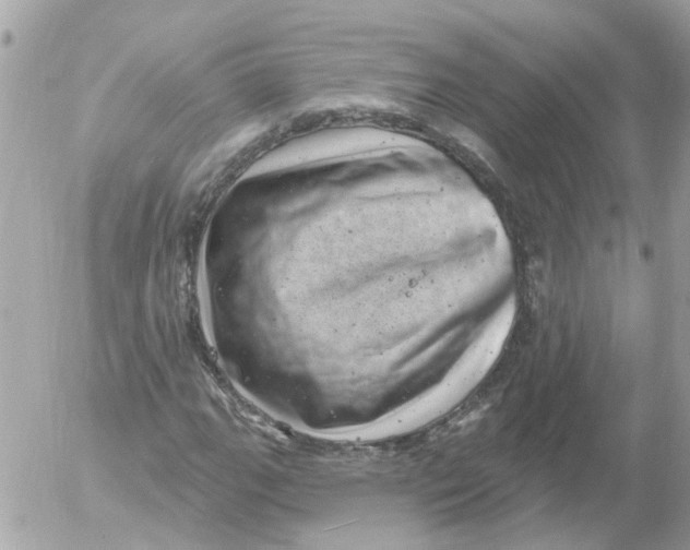 X0000052571111200507291959