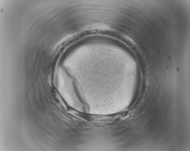 X0000052571112200507291959