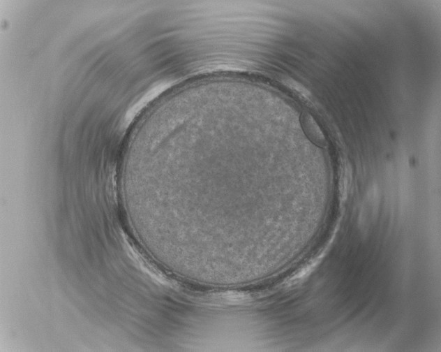 X0000052571113200507291959