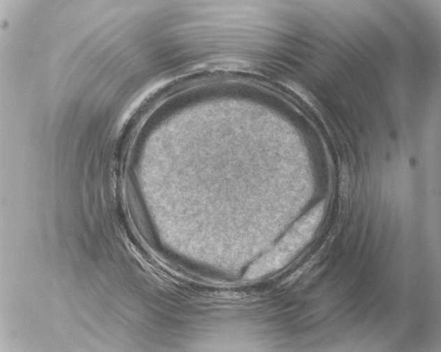 X0000052571115200507291959