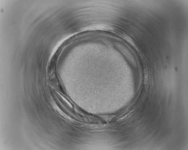 X0000052571116200507291959