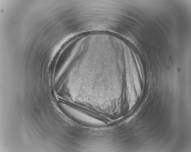 X0000052571118200507291959