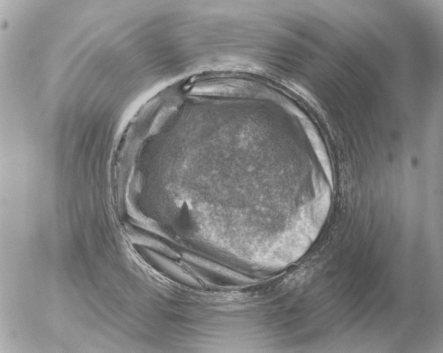 X0000052571120200507291959