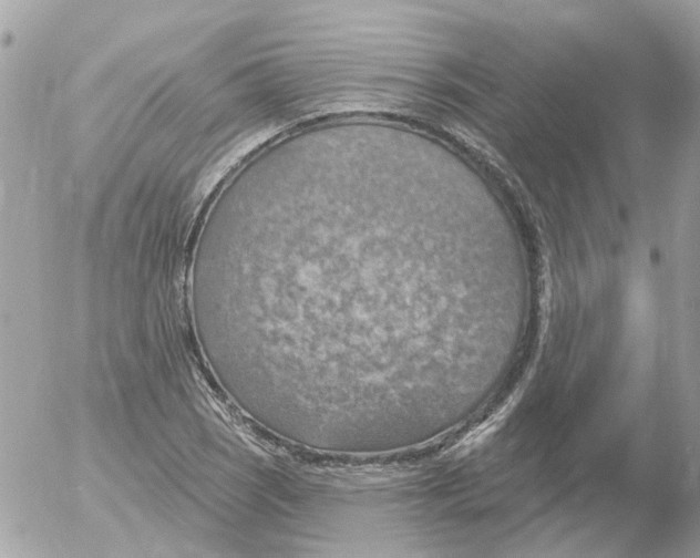 X0000052571121200507291959