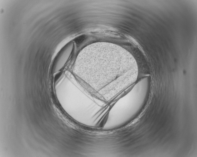 X0000052571122200507291959