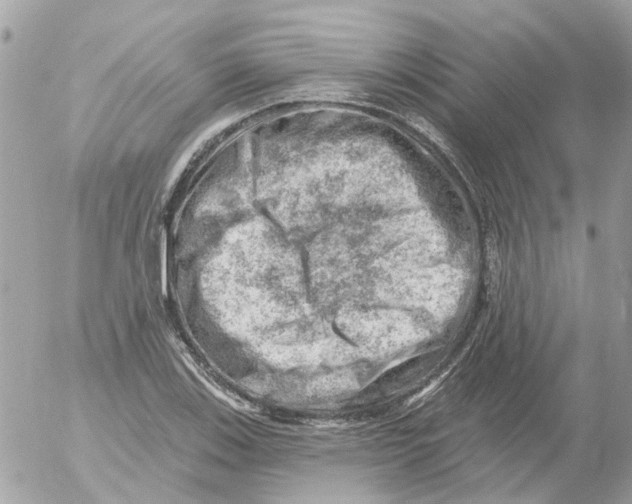 X0000052571123200507291959