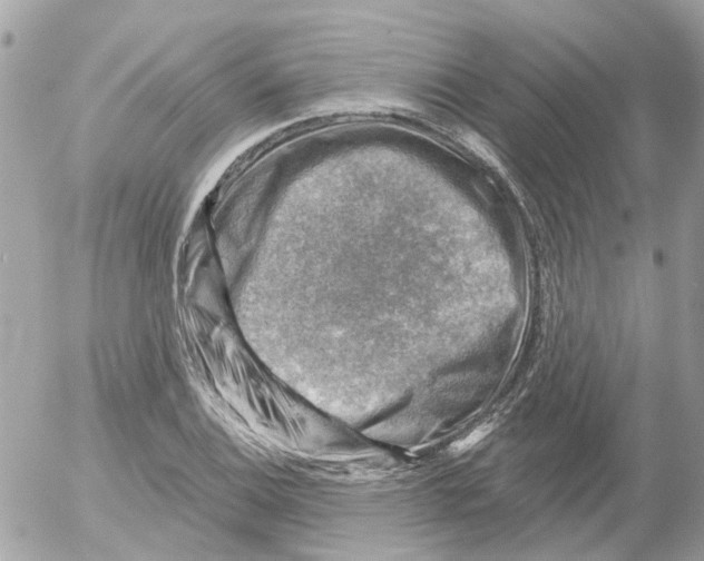 X0000052571124200507291959