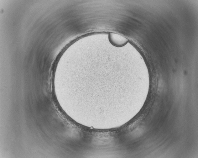 X0000052571126200507291959