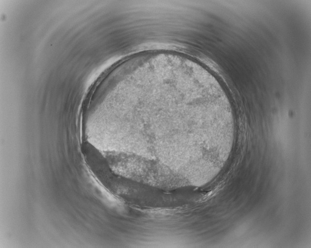 X0000052571127200507291959