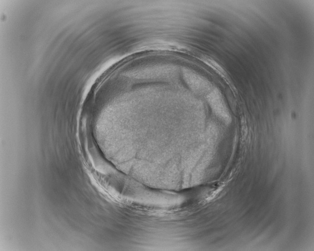 X0000052571128200507291959