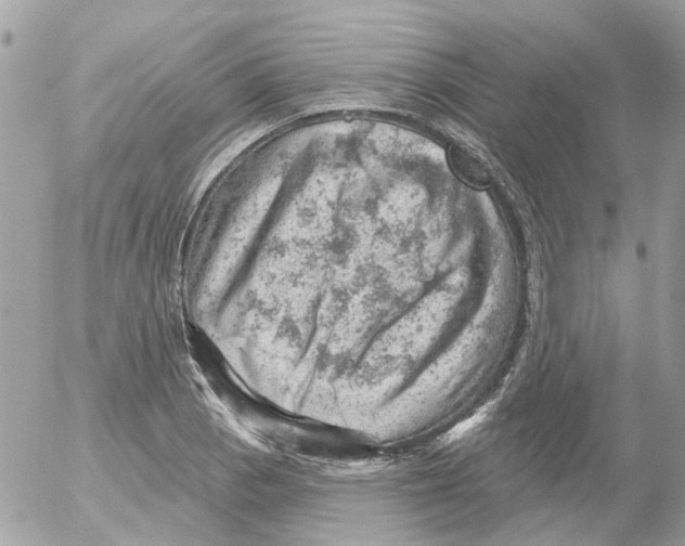 X0000052571129200507291959