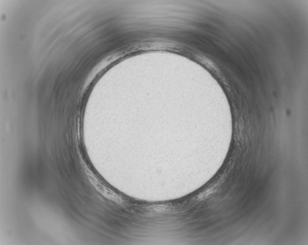 X0000052571130200507291959