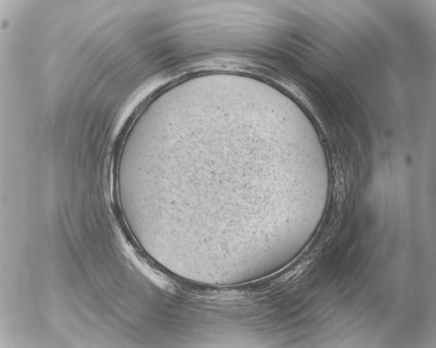 X0000052571131200507291959