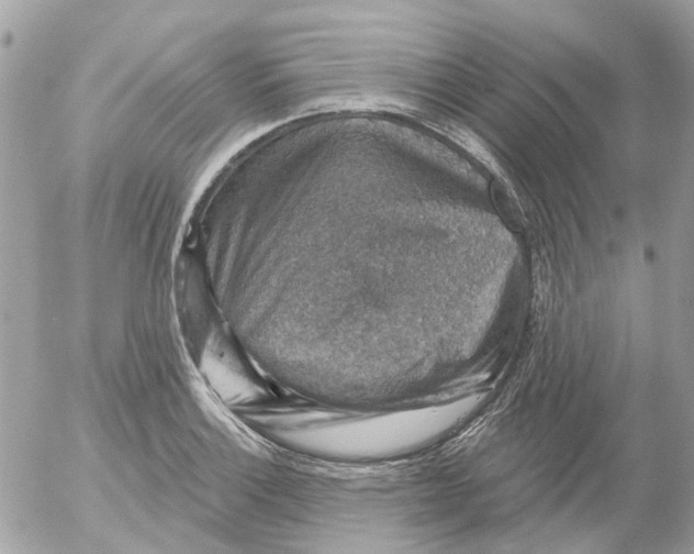 X0000052571132200507291959