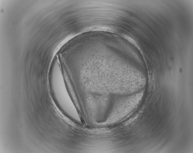 X0000052571133200507292000