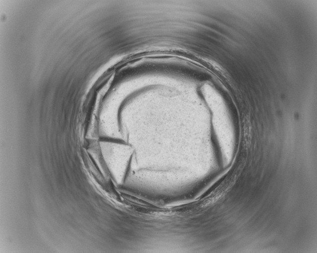 X0000052571134200507292000