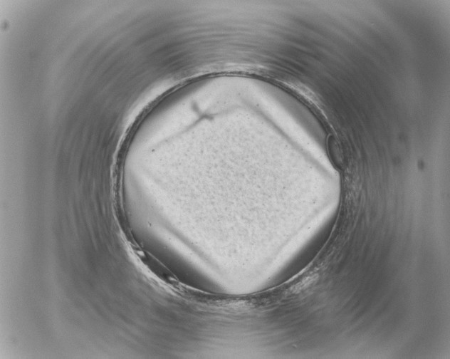 X0000052571135200507292000