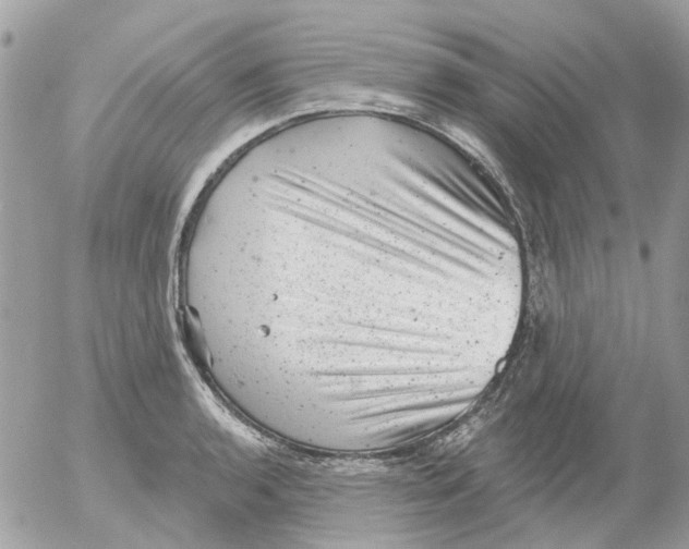 X0000052571136200507292000