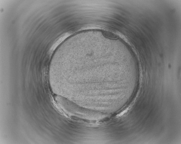 X0000052571137200507292000