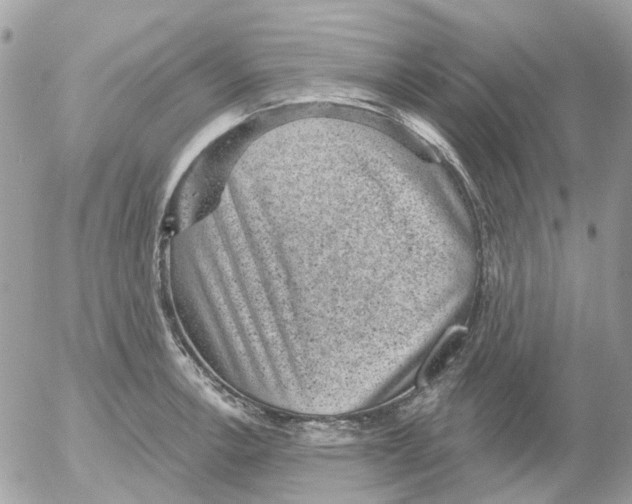 X0000052571138200507292000