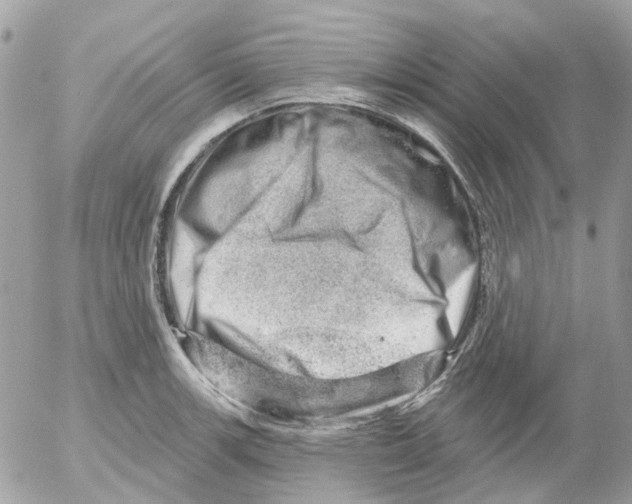 X0000052571139200507292000