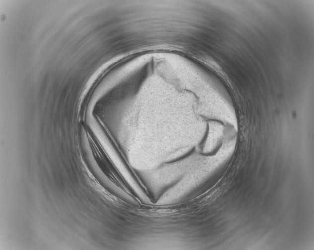 X0000052571140200507292000