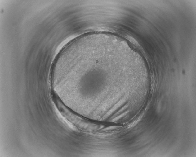 X0000052571141200507292000