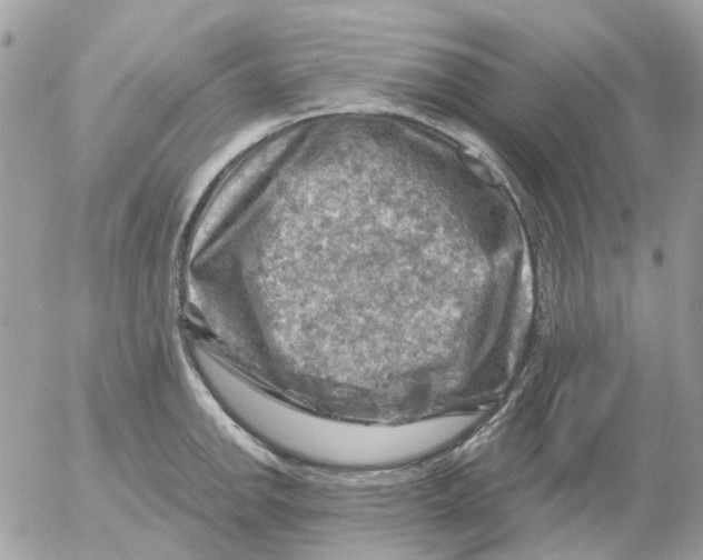 X0000052571142200507292000