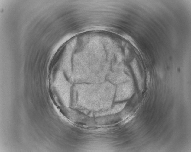 X0000052571143200507292000