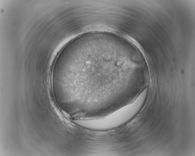 X0000052571144200507292000