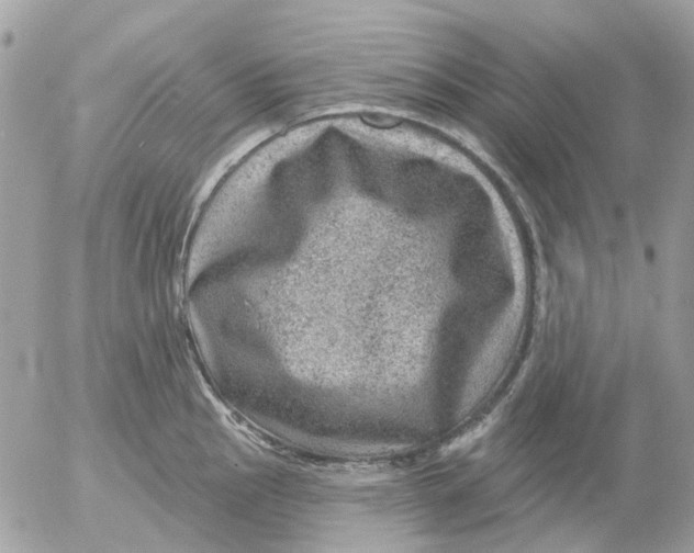 X0000052571145200507292000