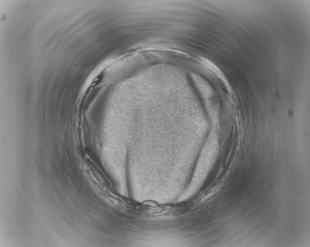 X0000052571146200507292000