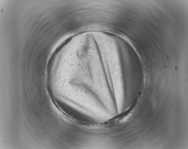 X0000052571147200507292000