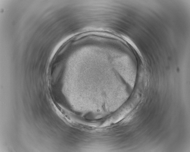 X0000052571148200507292000