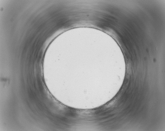 X0000052571150200507292000