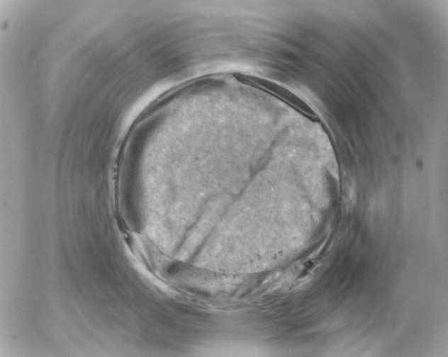 X0000052571151200507292000