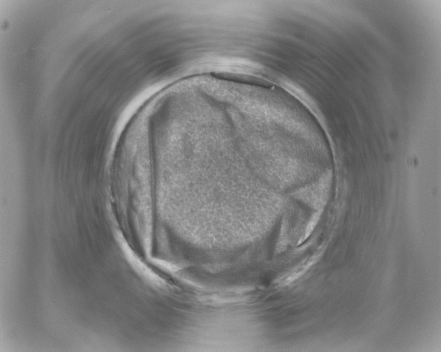 X0000052571152200507292000