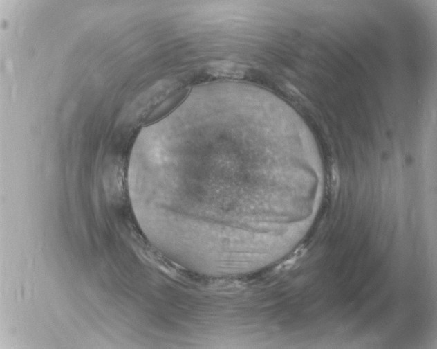 X0000052571154200507291959