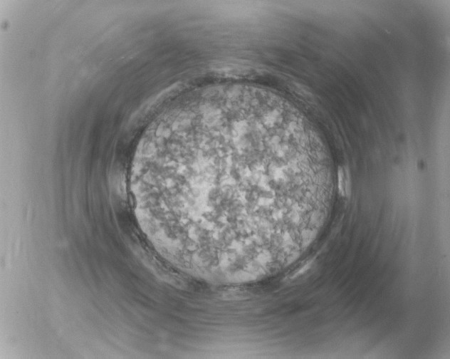 X0000052571155200507291959