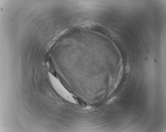 X0000052571156200507291959