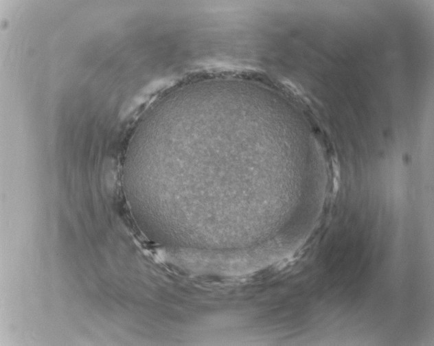 X0000052571157200507291959