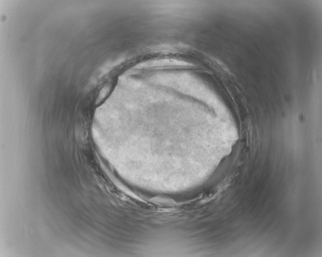 X0000052571158200507291959