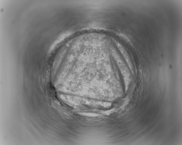 X0000052571159200507291959