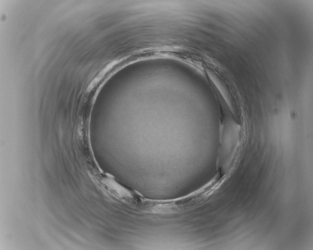 X0000052571161200507291959